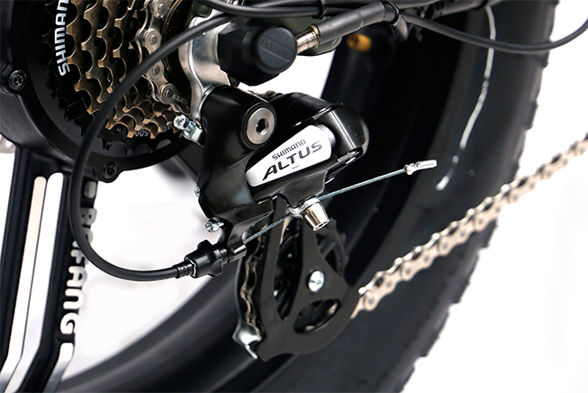 c20-derailleur (1)