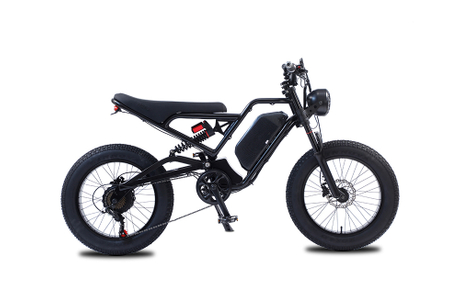 Factory 20 inches fat tires 48V 1500W powerful electric city bicycle hydraulic disc brake snow beach e-bike in ready stock