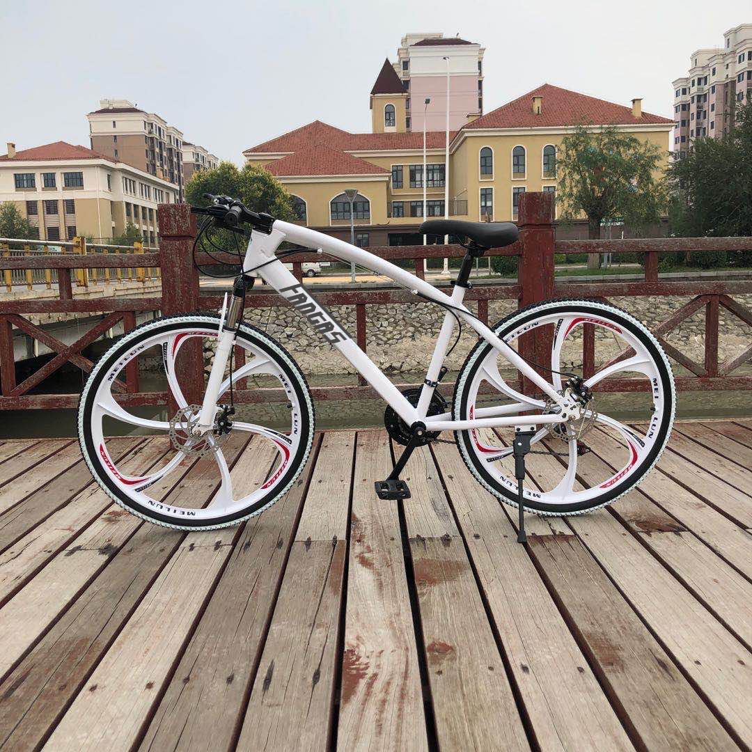 FANTAS-BIKE double disc brake 21 speed mountain bike 26''*17