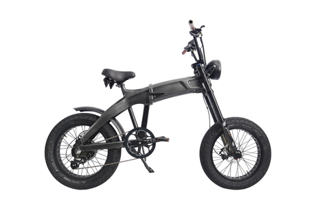 FANTAS CAMEL-R 20-inch bafang motor foldable electric bicycle with fat tire snow beach e-bike