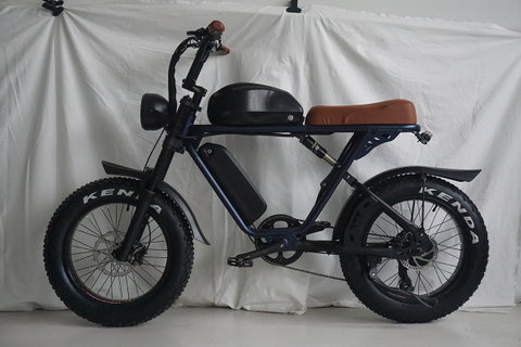 FANTAS Super-Knight001 20inches fat tire double battery electric bicycle harley for snow and beach