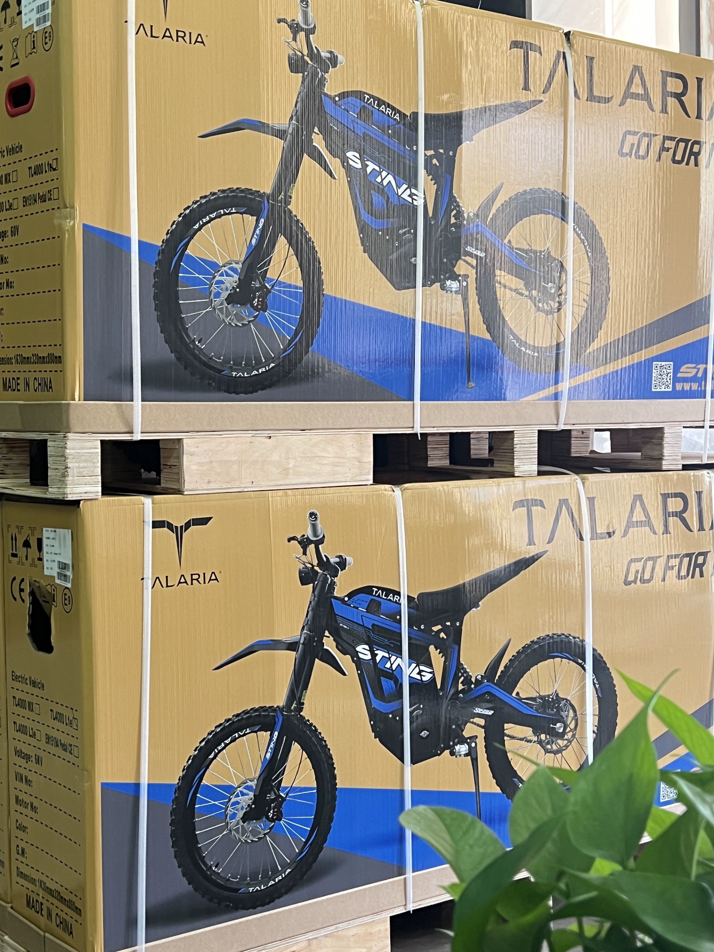 微信图片_20240716103801 - 副本