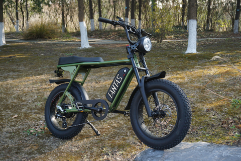 FANTAS Knight002 20inches fat tire lithium battery electric bicycle harley for snow and beach