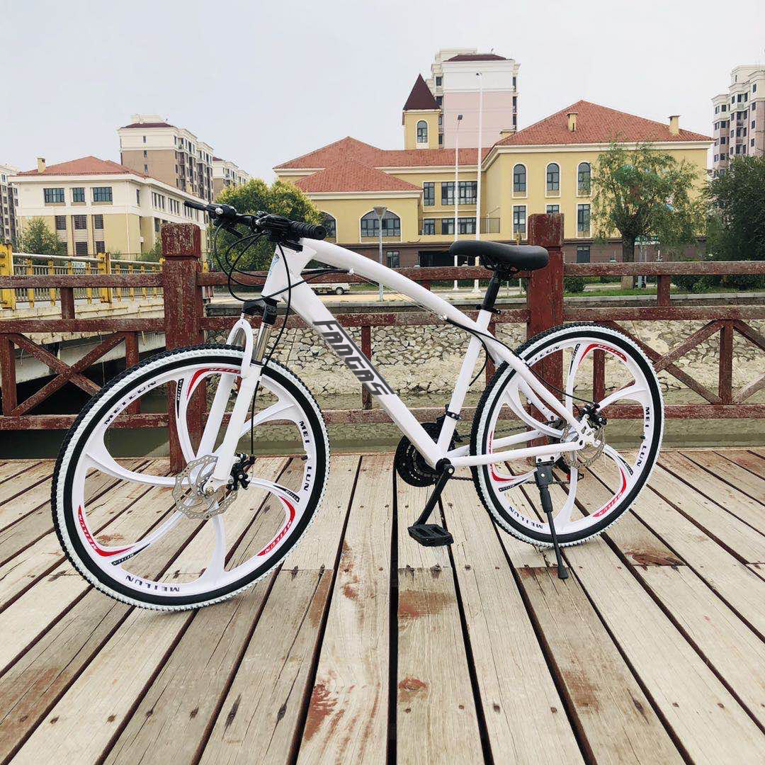 FANTAS-BIKE double disc brake 21 speed mountain bike 26''*17