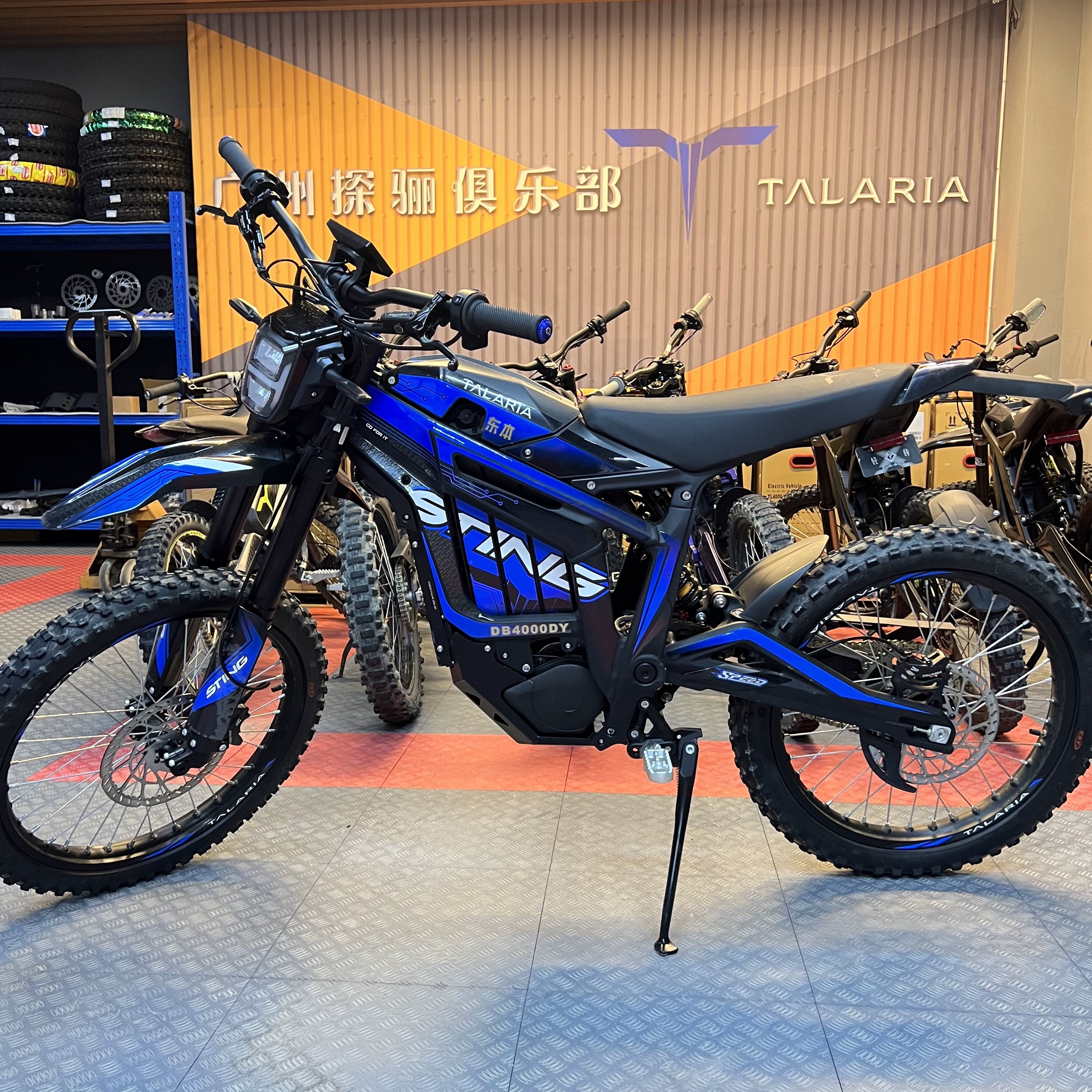 微信图片_202407161102131 - 副本