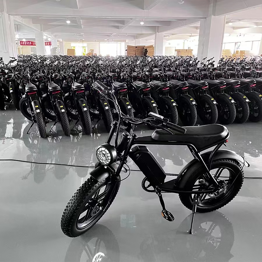 USA/EU warehouse 20 inches fat tires 48V750W15Ah lithium battery electric city bicycle e-bike for snow and beach
