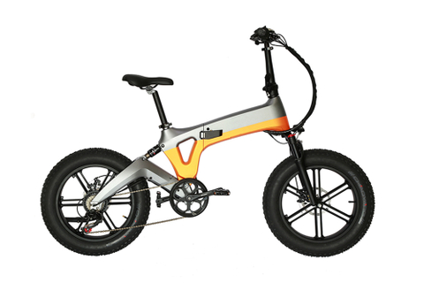 FANTAS J1 MAG frame 20 inch foldable fat tire electric city bike for snow
