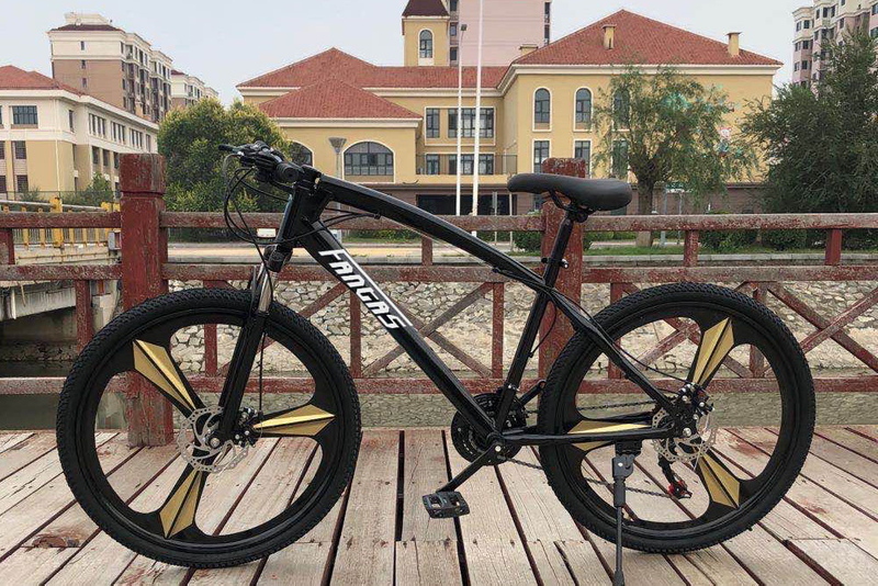FANTAS-BIKE double disc brake 21 speed mountain bike 26''*17