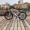 FANTAS-BIKE double disc brake 21 speed mountain bike 26''*17
